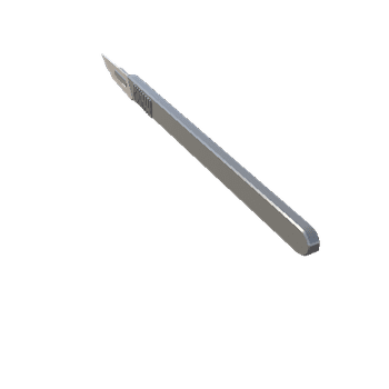 Scalpel2_ N15A Variant
